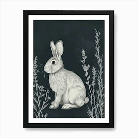 New Zealand Rabbit Minimalist Illustration 1 Art Print