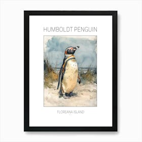 Humboldt Penguin Floreana Island Watercolour Painting 3 Poster Art Print