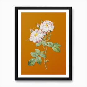Vintage White Damask Rose Botanical on Sunset Orange n.0048 Art Print