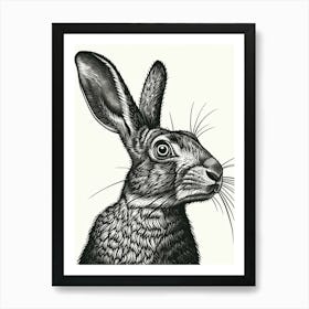 Californian Black Blockprint Rabbit Illustration 3 Art Print