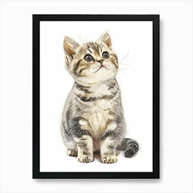 American Shorthair Cat Clipart Illustration 3 Art Print