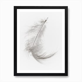 White Feather 4 Art Print