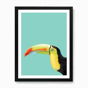 Toucan Art Print