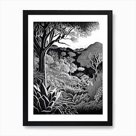 Kirstenbosch National Botanical Garden, 1, South Africa Linocut Black And White Vintage Art Print