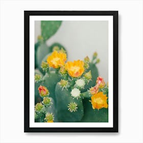 New Mexico Cactus III on Film Art Print