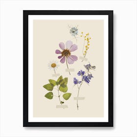 Spring Wildflowers Poster Art Print Art Print