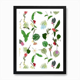 Botanical Tropic Flowers Art Print