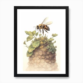 Northern Colletes Bee Beehive Watercolour Illustration 1 Art Print