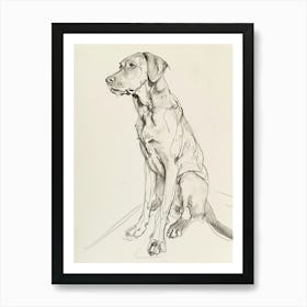 Chesapeake Bay Retriever Dog Charcoal Line 1 Art Print