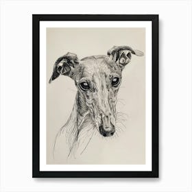 Greyhound Line Sketch 1 Art Print