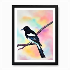 Magpie Watercolour Bird Art Print