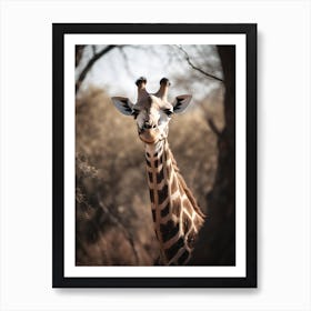 Skeptical Giraffe Art Print