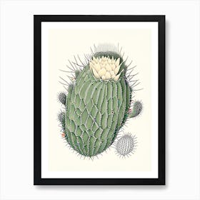 Acanthocalycium Cactus William Morris Inspired 2 Art Print