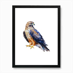 Hawk Isolated On White Background Art Print