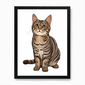 American Wirehair Cat Clipart Illustration 2 Art Print