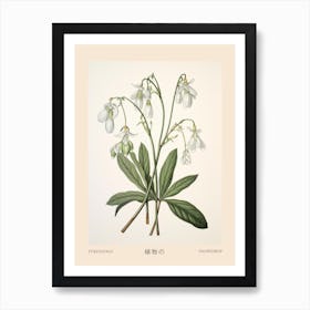 Yukiyanagi Snowdrop 3 Vintage Japanese Botanical Poster Art Print