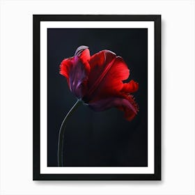 Poster Red Beauty 2 Art Print