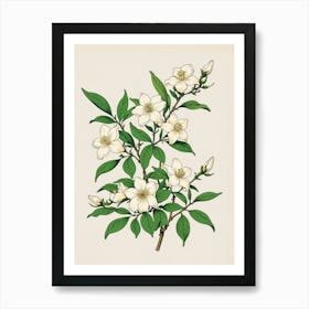 Blossoming Cherry Tree Art Print