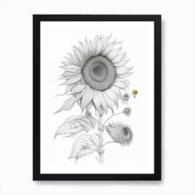 Sunflower Floral Quentin Blake Inspired Illustration 2 Flower Art Print