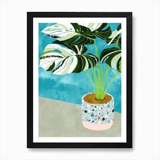 Variegated Monstera Art Print