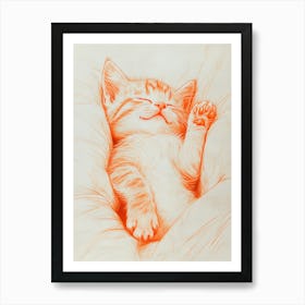 Cat Sleeping Affiche