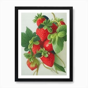 Alpine Strawberries, Plant, Crayon Art Print