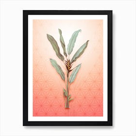 Parrot Heliconia Vintage Botanical in Peach Fuzz Asanoha Star Pattern n.0131 Art Print