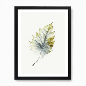 Witch Hazel Leaf Minimalist Watercolour 1 Art Print