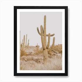 Saguaro Desert Sunset Art Print