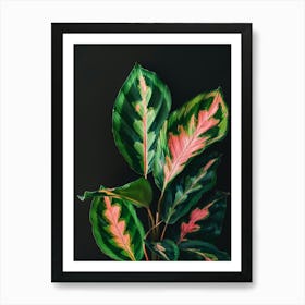 Green Plant On Black Background Art Print