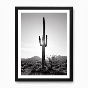 Arizona, Usa, Black And White Analogue Photograph 3 Art Print