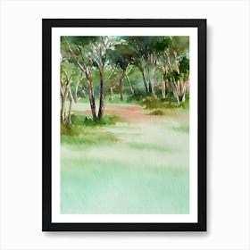 Addo Elephant National Park South Africa Water Colour Poster Art Print