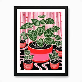 Pink And Red Plant Illustration Fittonia White Anne 1 Art Print