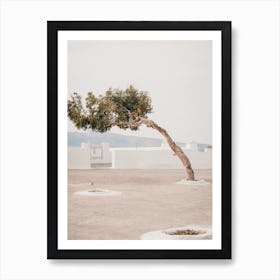 Santorini Villa Tree Art Print