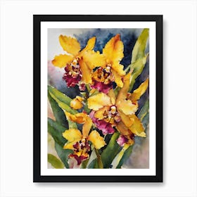 Oncidium Orchids Water Colour 2 Art Print