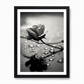 Monochrome Impression No 4 Art Print