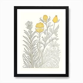 Turmeric Herb William Morris Inspired Line Drawing 1 Art Print