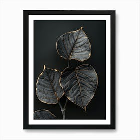 Black Leaves On A Black Background Art Print