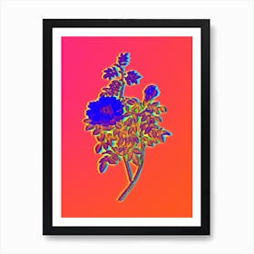 Neon Ventenat's Rose Botanical in Hot Pink and Electric Blue n.0555 Art Print