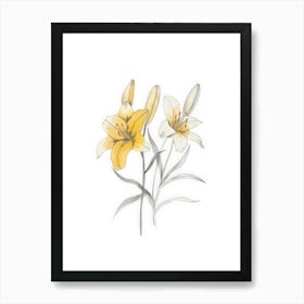 Yellow Lily 4 Art Print