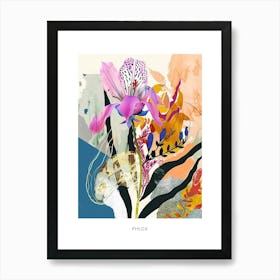 Colourful Flower Illustration Poster Phlox 1 Art Print