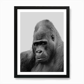 Gorilla Portrait Art Print