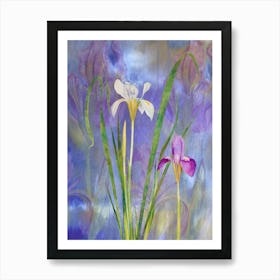 Irises Art Print