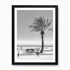 Palm Tree On The Beach Black and White Art Print