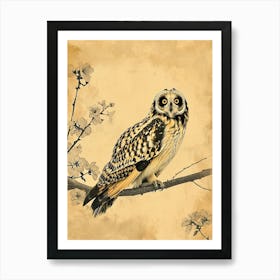 Short Eared Owl Vintage Illustration 1 Art Print