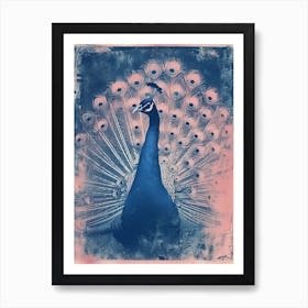 Pink & Blue Peacock Cyanotype Inspired Art Print