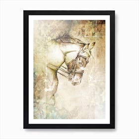 Horse Drawing Art Illustration In A Photomontage Style 70 Art Print