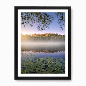 Calm Summer Night Art Print