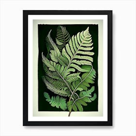 Wood Fern 1 Vintage Botanical Poster Art Print