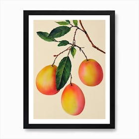 Nectarine 2 Watercolour Fruit Painting Fruit Art Print